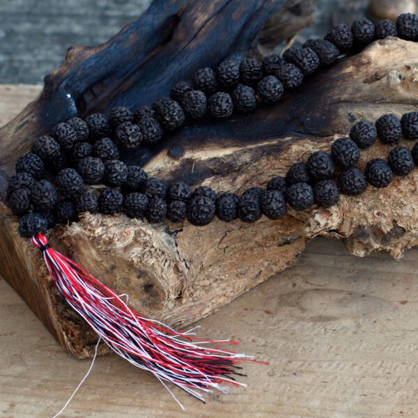 Mala Rudraksha 108 koralików – Ciemna - obrazek 5