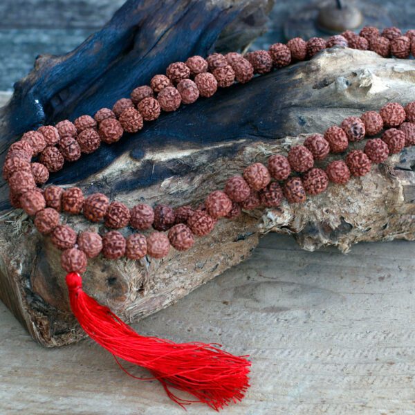 Mala Rudraksha 108 koralików – Brązowa - obrazek 4