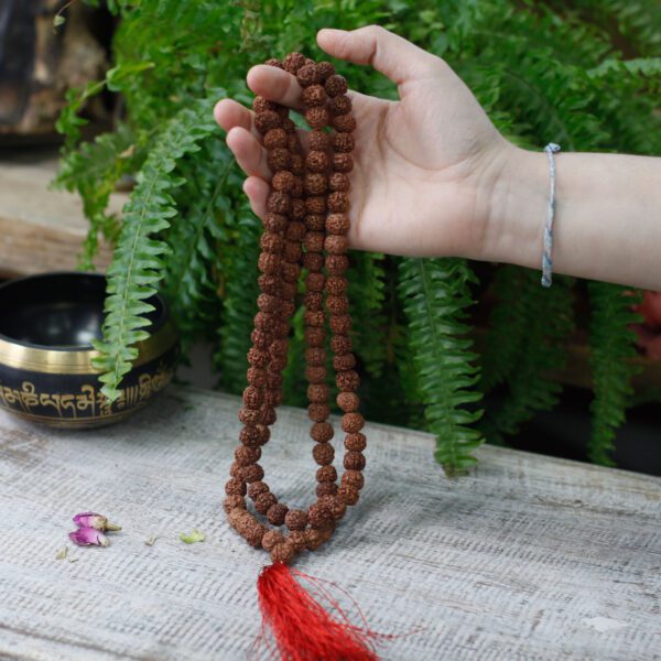Mala Rudraksha 108 koralików – Brązowa - obrazek 7