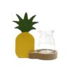 Dekoracja hydroponiczna do domu – doniczka ananas