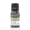 Olejek eteryczny eukaliptusowy – 10 ml