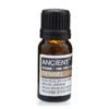Olejek eteryczny z kopru włoskiego – 10 ml - obrazek 2