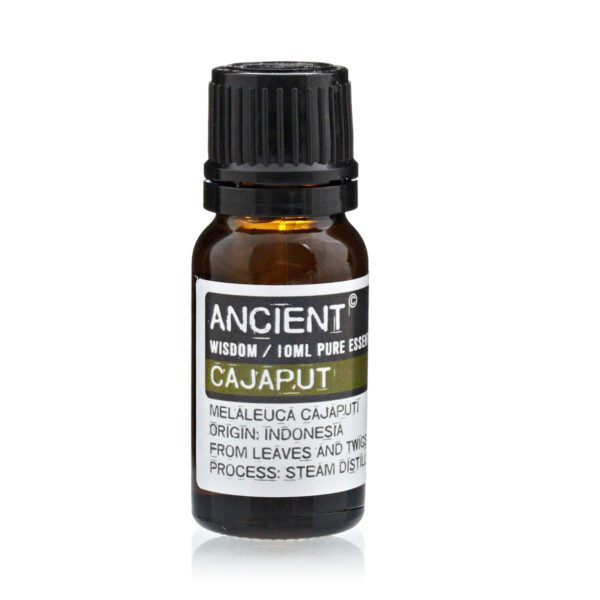Olejek eteryczny kajeputowy – 10 ml - obrazek 2
