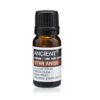 Olejek eteryczny anyżowy (chińska gwiazdka) – 10 ml - obrazek 2