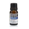 Olejek eteryczny świerkowy – 10 ml - obrazek 2