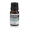 Olejek eteryczny ravensara – 10 ml - obrazek 2