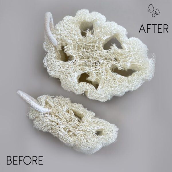 Luksusowa egipska loofa ze sznurkiem bawełnianym – nieprasowana – 8–12 cm - obrazek 2