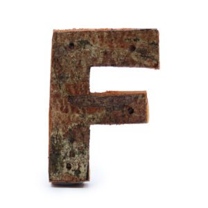 Rustykalna litera z kory – E – 7 cm
