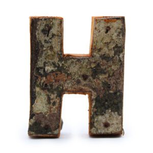Rustykalna litera z kory – H – 7 cm
