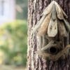 Budka dla ptaków z drewna dryfującego – Mała - obrazek 3