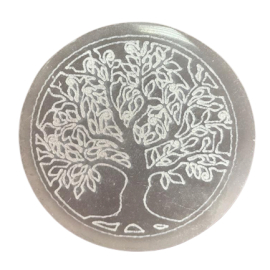 Talerz Ładujący – 8 cm – Drzewo Życia