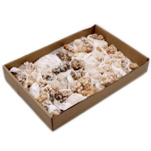 Okazy Minerałów – Kalcyt Kwiatowy (ok. 20 szt.)