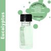 10ml Olejek Zapachowy Eukaliptus – Bez Etykiety