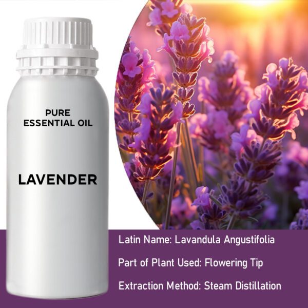Lawenda – 0,5 kg