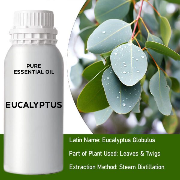 Eukaliptus – 0,5 kg