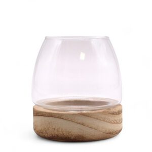 Mini Terrarium na Naturalnym Drewnie Tung – 10x10 cm