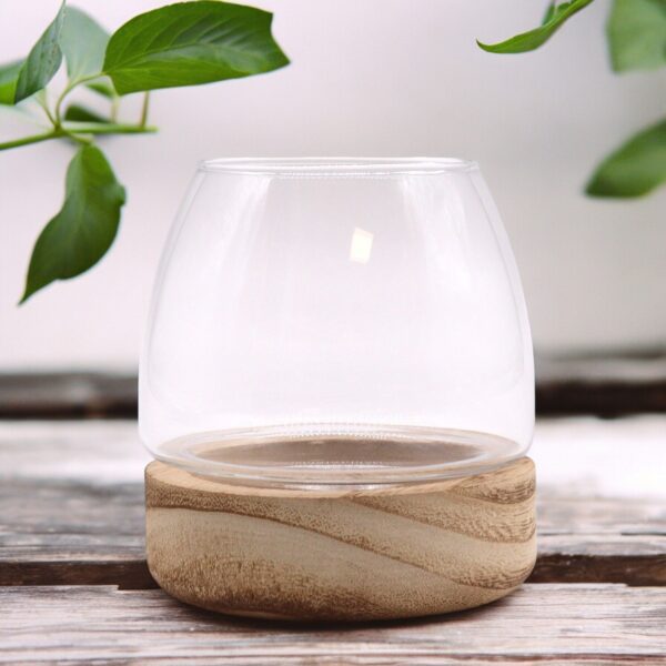 Mini Terrarium na Naturalnym Drewnie Tung – 10x10 cm - obrazek 2