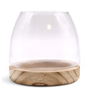 Średnie Terrarium na Naturalnym Drewnie Tung – 15x15 cm