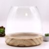 Średnie Terrarium na Naturalnym Drewnie Tung – 15×15 cm