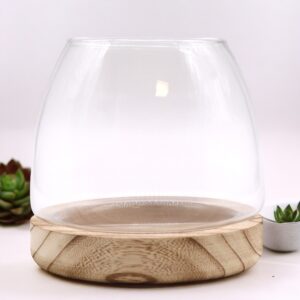Średnie Terrarium na Naturalnym Drewnie Tung – 15×15 cm