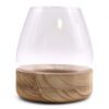 Duże Terrarium na Naturalnym Drewnie Tung – 17x19 cm