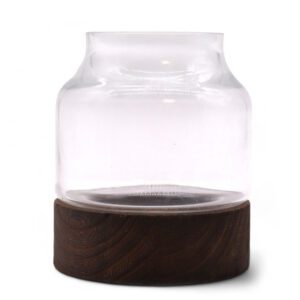 Małe Terrarium w Kształcie na Ciemnym Drewnie Tung – 12x13 cm