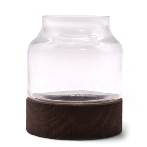 Małe Terrarium w Kształcie na Ciemnym Drewnie Tung – 12x13 cm