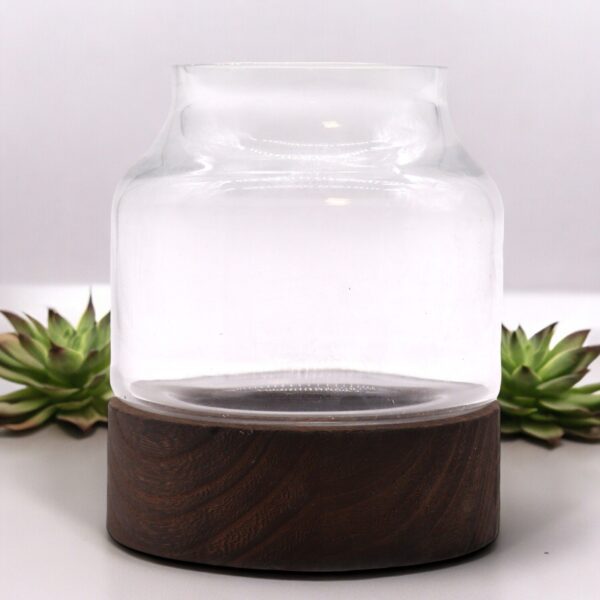 Małe Terrarium w Kształcie na Ciemnym Drewnie Tung – 12x13 cm - obrazek 2