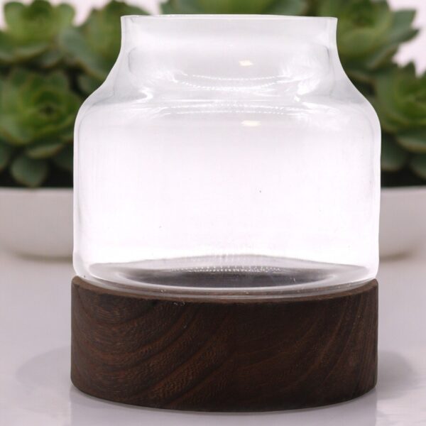 Średnie Terrarium w Kształcie na Ciemnym Drewnie Tung – 16x18 cm - obrazek 2