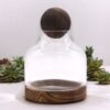 Średnie Terrarium z Kulą na Ciemnym Drewnie Tung – 17x22 cm - obrazek 2