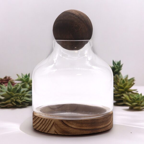 Średnie Terrarium z Kulą na Ciemnym Drewnie Tung – 17x22 cm - obrazek 2