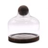 Bardzo Duże Terrarium z Kulą na Ciemnym Drewnie Tung – 23x23 cm