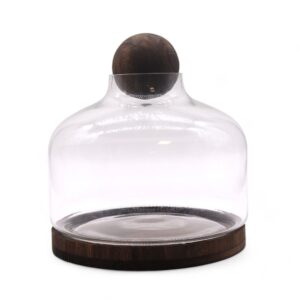 Bardzo Duże Terrarium z Kulą na Ciemnym Drewnie Tung – 23x23 cm