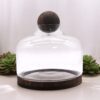 Bardzo Duże Terrarium z Kulą na Ciemnym Drewnie Tung – 23x23 cm - obrazek 3