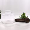 Bardzo Duże Terrarium z Kulą na Ciemnym Drewnie Tung – 23x23 cm - obrazek 4