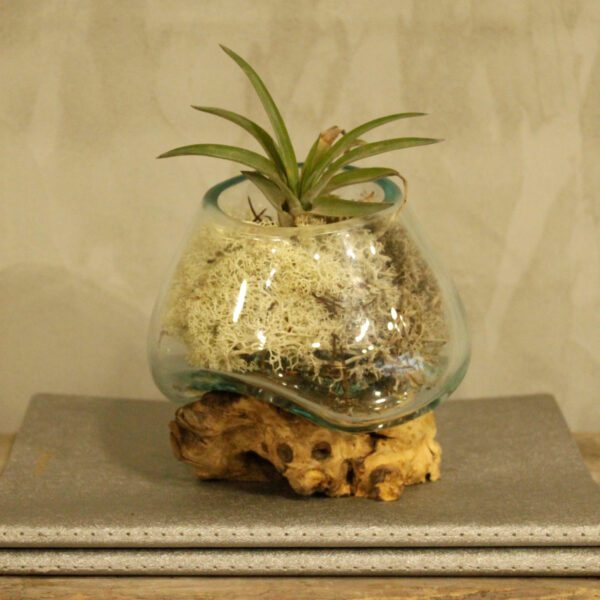 Szklana misa z roztopionego szkła na drewnie – Mała