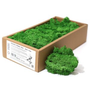 Dekoracyjny Mech Reniferowy – Mchowa Zieleń – Pudełko 635 g