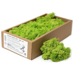 Dekoracyjny Mech Reniferowy – Jasna Trawa – Pudełko 635 g