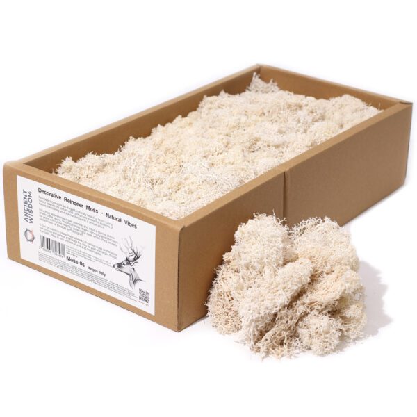 Dekoracyjny Mech Reniferowy – Naturalne Wibracje – Pudełko 635 g