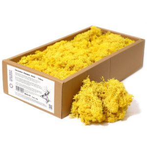 Dekoracyjny Mech Reniferowy – Żółty – Pudełko 635 g