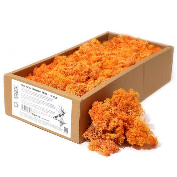 Dekoracyjny Mech Reniferowy – Pomarańczowy – Pudełko 635 g