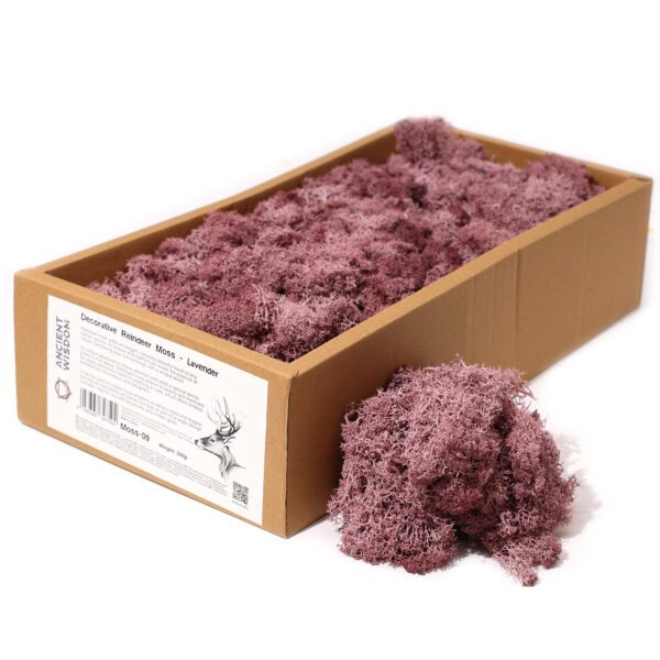 Dekoracyjny Mech Reniferowy – Lawendowy – Pudełko 635 g