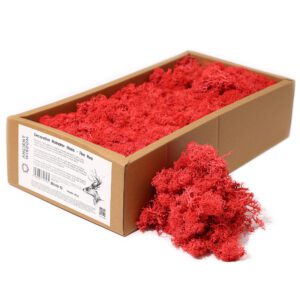 Dekoracyjny Mech Reniferowy – Ognista Czerwień – Pudełko 635 g