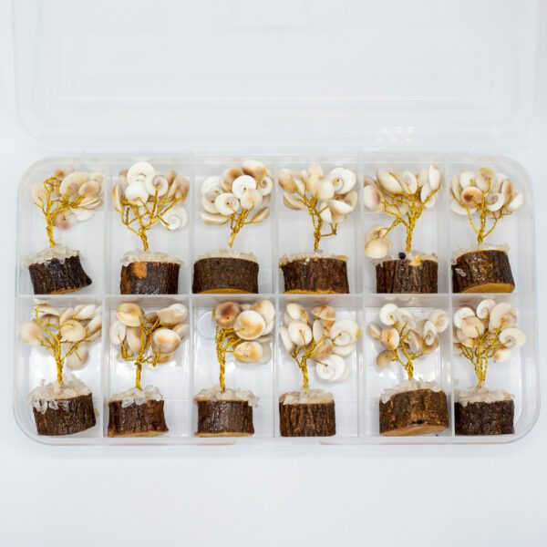 Małe Drzewko Gomati Chakra – 15 Kamieni