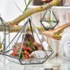 Szklane terrarium – Sześcian na Rogu - obrazek 3