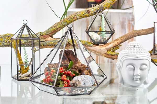 Szklane terrarium – Sześcian na Rogu - obrazek 3
