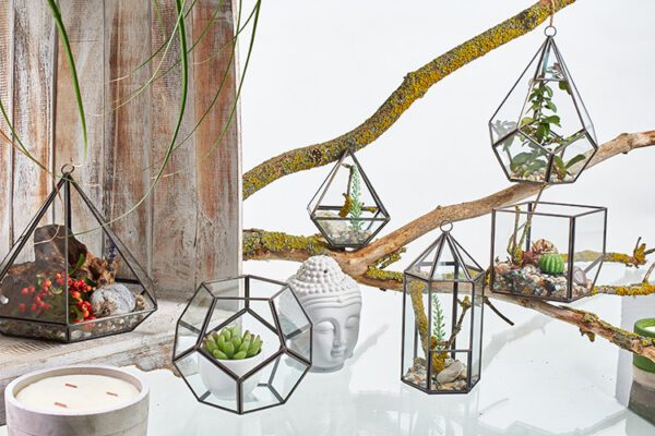 Szklane terrarium – Sześcian na Rogu - obrazek 4