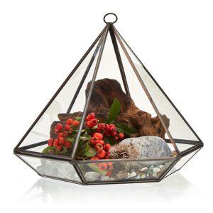 Szklane terrarium – Duży Diament