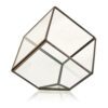 Szklane terrarium – Sześcian na Rogu