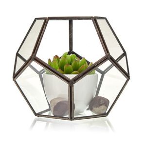 Szklane terrarium – Duży Oktagon